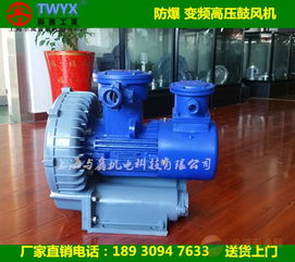 化工設(shè)備專用防爆風(fēng)機(jī) 防爆高壓鼓風(fēng)機(jī)